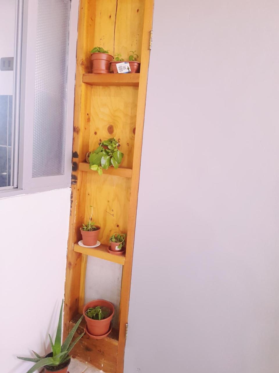 Departamento Luna Andina ซานเปโดร เด อาตากามา ภายนอก รูปภาพ